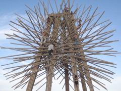 Bamboo Detail