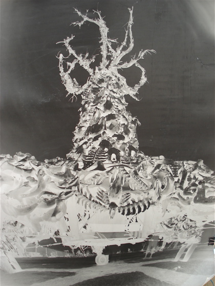 Pinhole shot of The Bone Tree