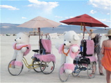 Teddy Bikes