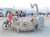 Cat car1 of many