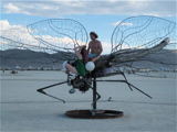 Dragon Fly