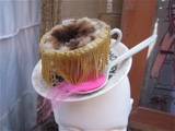 Furry Teacup