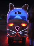 Cat Car #17