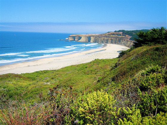 Paradise