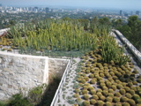 Going to the Getty 1