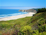 Paradise