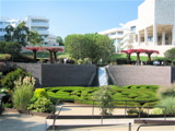 Hedge Maze